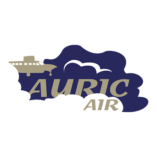Auric Air Tanzania  Travelstart.co.ke