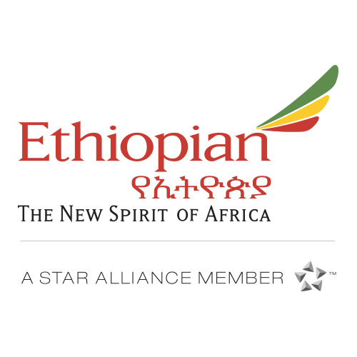 Image result for ethiopian airlines logo