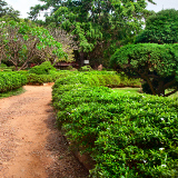 Lalbagh Botanical Gardens