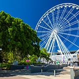 Wheel of Brisbane 