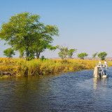 Chobe River Tours