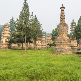 Shaolin Pagoda Forest