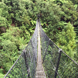 The Parc du Banco rainforest reserve