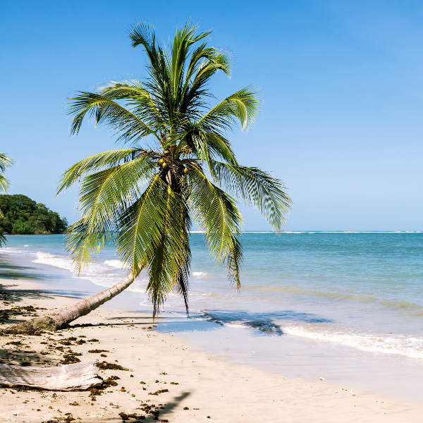 tamarindo-beaches