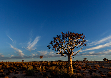 Nothern Cape