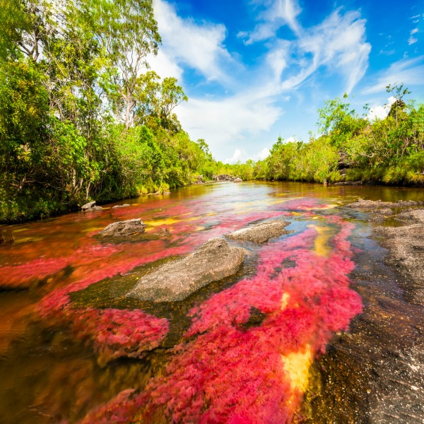 Redtea River