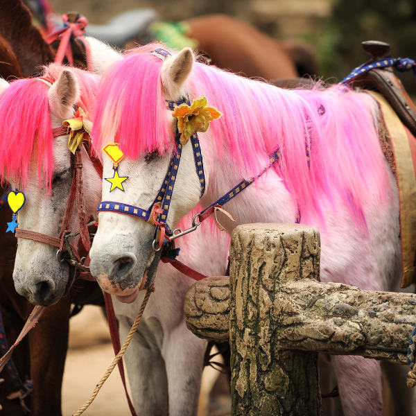 white pony pink hair