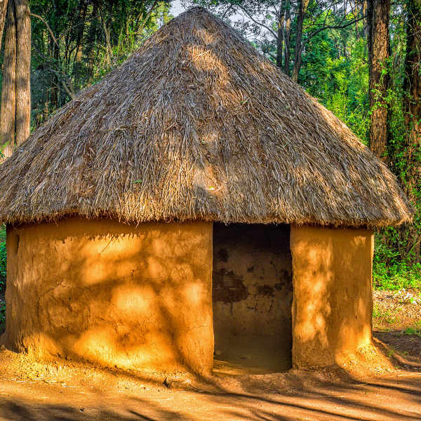 traditional hut
