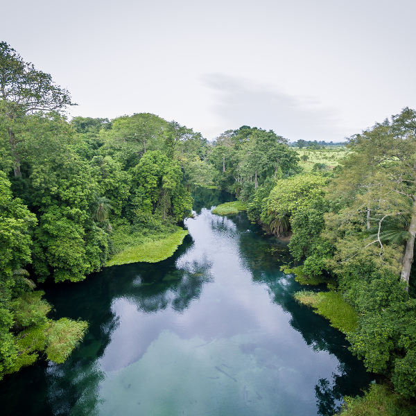 congo-river-nature